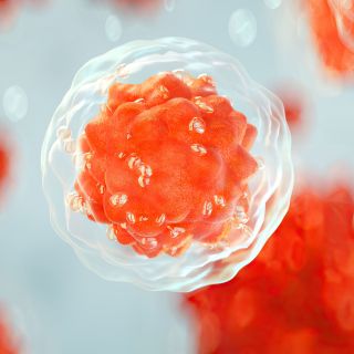 Förderung der Geweberegeneration